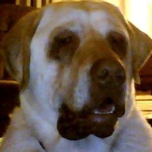 Meet your Posher, Brenda